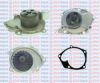 AQUAPLUS 85-8460 Water Pump